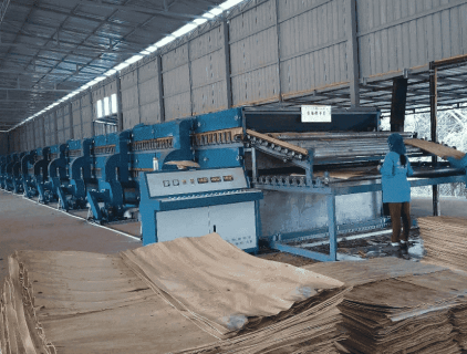 veneer dryers