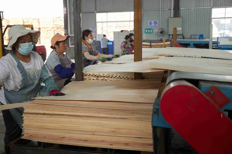 сушеный шпон сушеный шпон