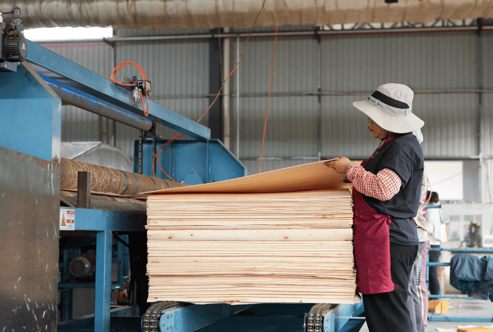 mesin pengering veneer