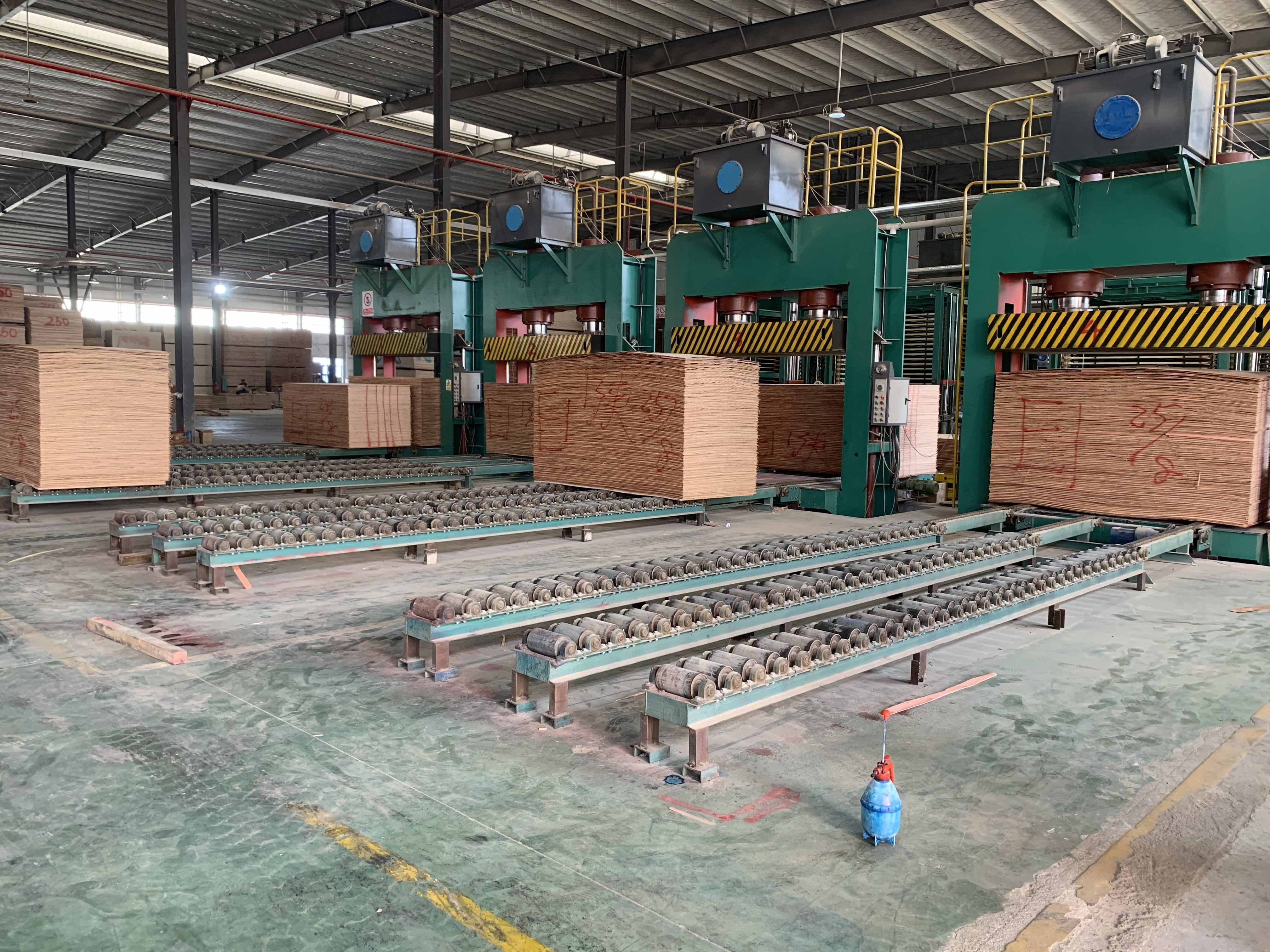 Pers Dingin Kayu Lapis