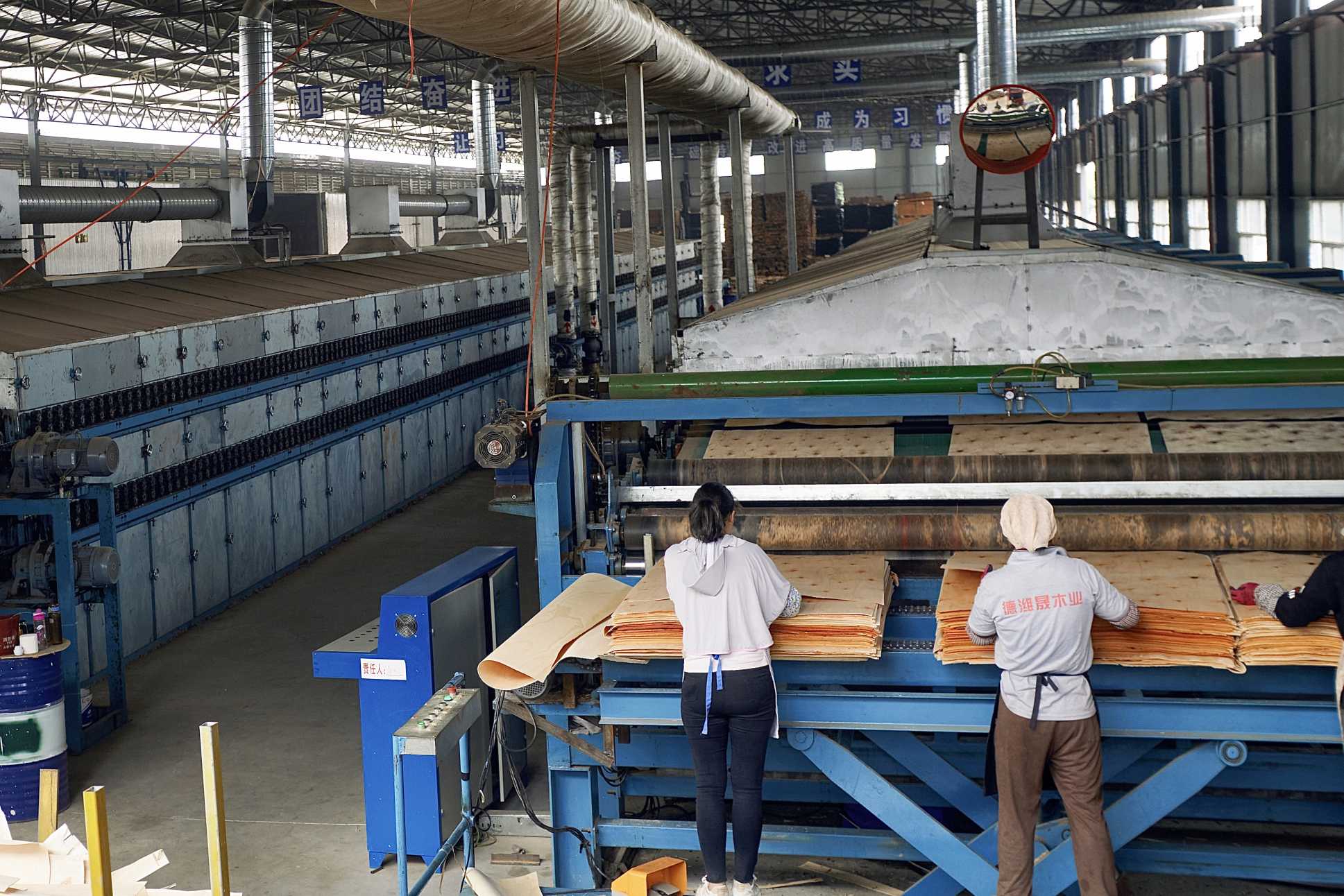 roller veneer dryer