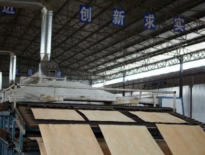 сушилка для шпона