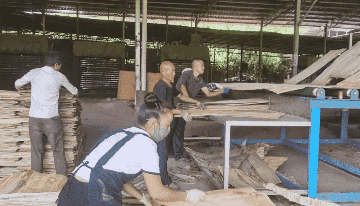 production de bois de caoutchouc.png