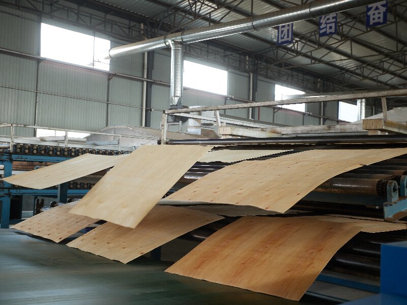 máy sấy ván mỏng