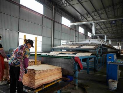 mesin kayu lapis