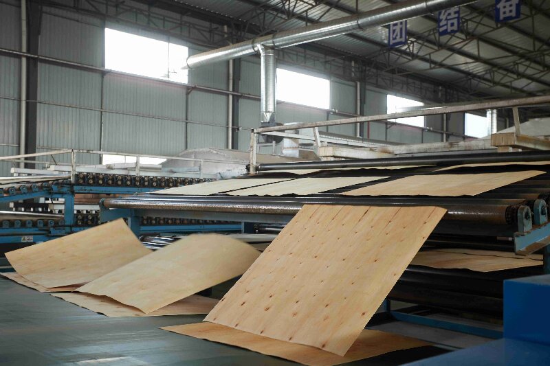 lapisan kayu