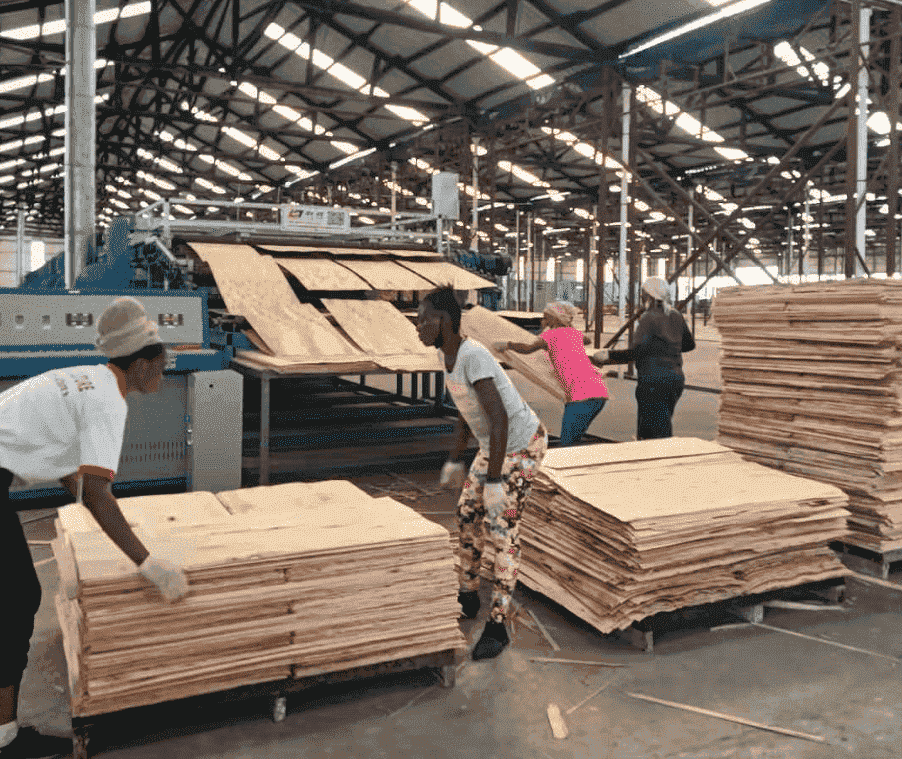 wood veneer processing wood veneer processing