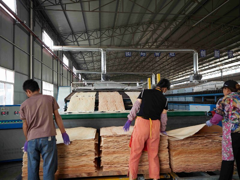 veneer dryer veneer dryer