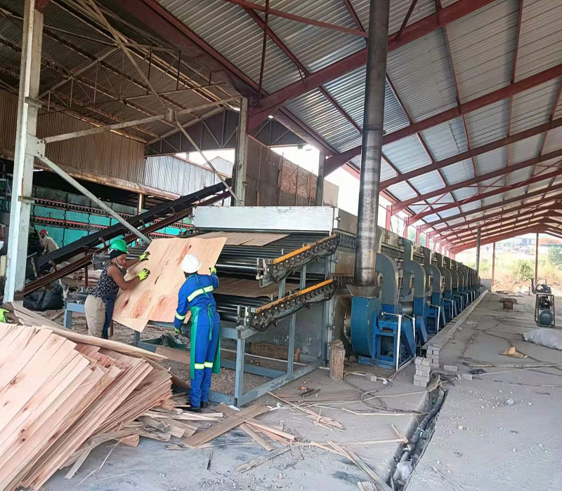 máquina secadora de chapas
