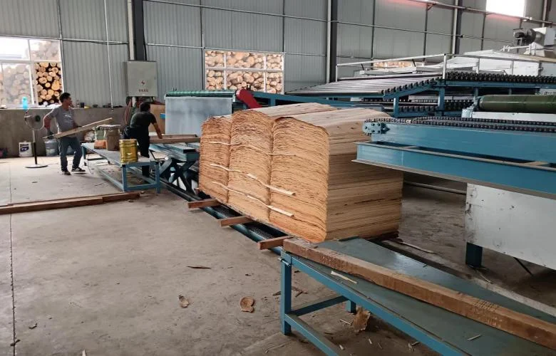 Roller Veneer Dryer