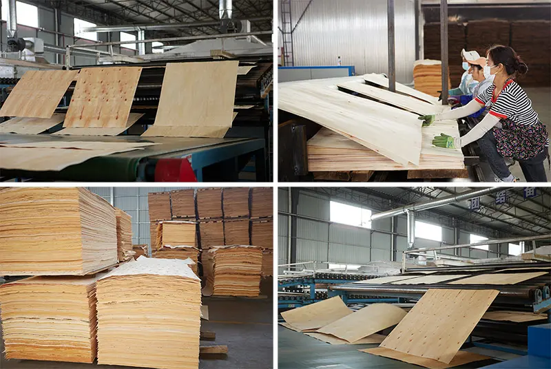 birch veneer production