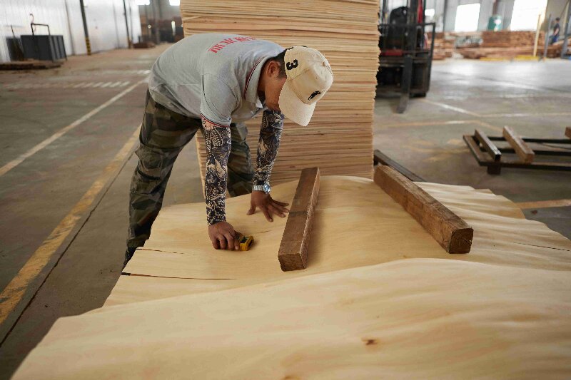 chapa de madera