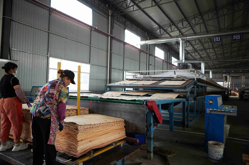 сушилка для шпона