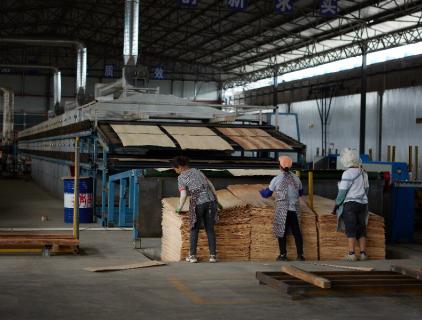 เครื่องเป่าไม้วีเนียร์